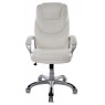 Кресло руководителя Бюрократ T-9905 белый искусственная кожа (пластик серебро)