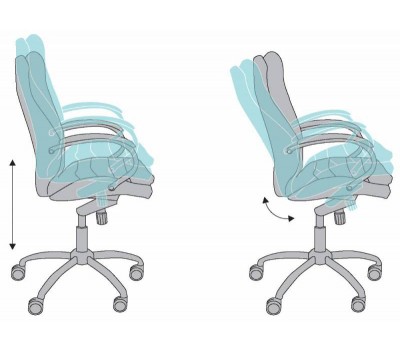 Кресло руководителя Бюрократ T-9950AXSN/Black натуральная кожа