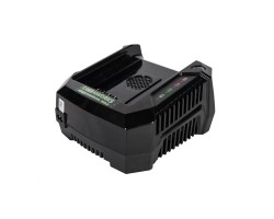Зарядное устройство Greenworks G82C