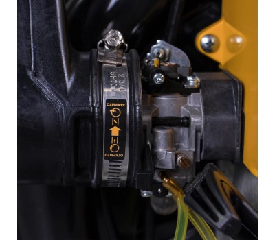 Воздуходувка бензиновая Champion GBR376 Воздуходувка бензиновая Champion GBR376