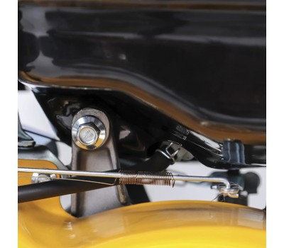 Двигатель с горизонтальным валом Champion G420HK