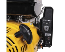 Двигатель с горизонтальным валом Champion G390HKE-foto4