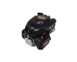 Двигатель с вертикальным валом Champion G120-2VK1