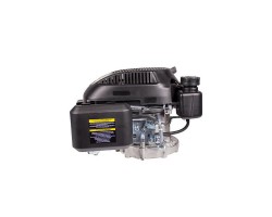 Двигатель с вертикальным валом Champion G120-2VK1-foto2