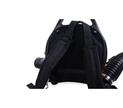 Воздуходувка бензиновая Champion GBR333 Воздуходувка бензиновая Champion GBR333