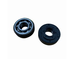 Подшипник и сальник (комплект) Champion IGP H340,345,350