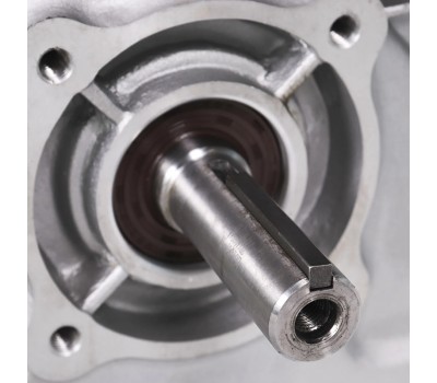 Двигатель с горизонтальным валом Champion G120HK