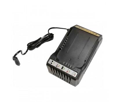 Зарядное устройство Champion CH360