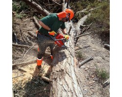 Пила бензиновая цепная EFCO MT 6500 (18")-foto4