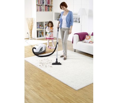 Пылесос с аквафильтром DS 6 Premium Plus Karcher