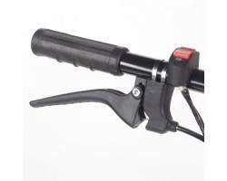 Культиватор бензиновый ПАТРИОТ Florida-foto8