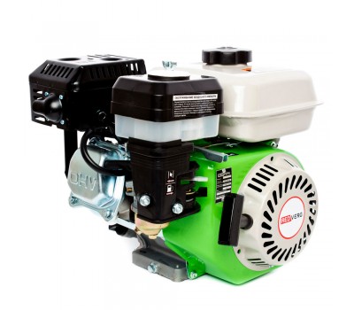 Двигатель бензиновый RD-GE170-S