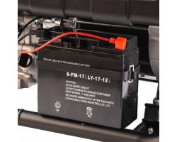 Генератор бензиновый PS 28, 2.8 кВт, 230 В, 15 л, ручной стартер Denzel-foto8