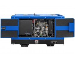 Двухпостовой дизельный сварочный генератор TSS DUAL DWG-400-foto11