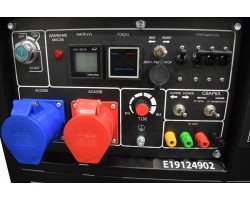 Инверторный бензиновый сварочный генератор TSS GGW 6.0/250ED-R3-foto5