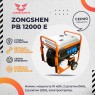 Бензиновый генератор Zongshen PB 12000 E