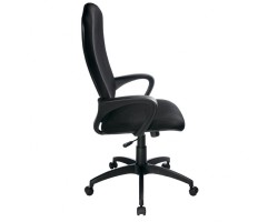 Кресло руководителя Бюрократ Ch-818AXSN черный сиденье черный 15-21-foto3