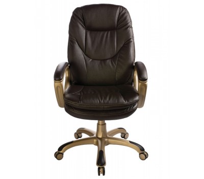Кресло руководителя Бюрократ Ch-868AXSN темно-коричневый эко.кожа крестовина пластик пластик золото