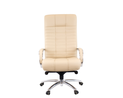 Кресло руководителя Everprof Atlant AL M кожа бежевый-foto5