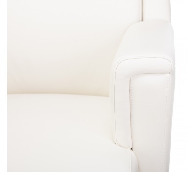 Кресло руководителя Бюрократ _DUKE белый кожа крестовина металл/дерево