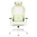 Кресло игровое Zombie EPIC PRO Fabric белый/зеленый с подголов. крестовина пластик пластик белый