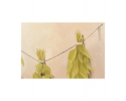 NFM 200 CG серия Вино KUPPERSBERG-foto5