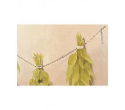 NFM 200 CG серия Вино KUPPERSBERG