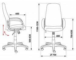 Кресло руководителя Бюрократ CH-808AXSN серый 3C1 крестовина пластик-foto5