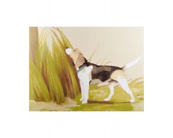 NFM 200 CG серия Охота KUPPERSBERG-foto4