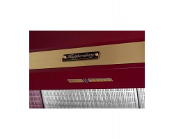 Вытяжка купольная T 969 BOR Bronze KUPPERSBERG-foto3