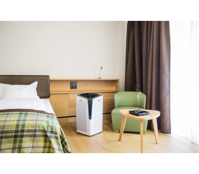 ВоздухоочистительAF 100