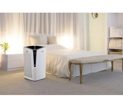 ВоздухоочистительAF 100